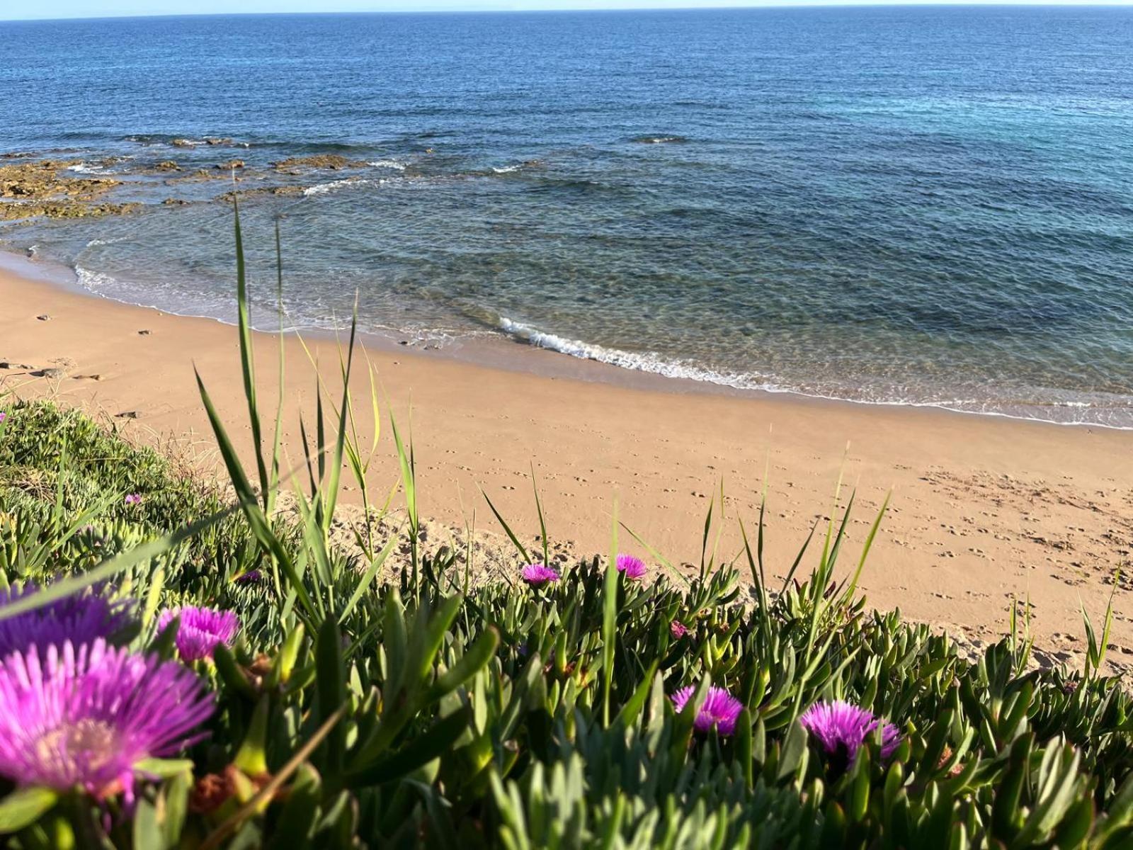 La Sirena Del Viento Panzió Los Canos De Meca Kültér fotó